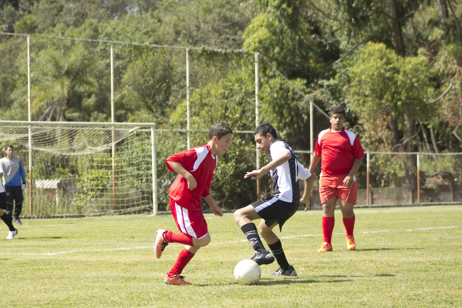 Top Training Secrets Every Young Football Player Should Know To Get Better Results